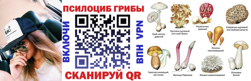 Купить закладки  Карабулак  Галлюциногенные грибы Magic Shrooms 